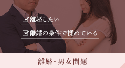 離婚したい/離婚の条件で揉めている 離婚・男女問題